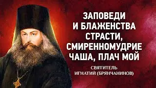 09 Заповеди и блаженства, Страсти, Смиренномудрие, Чаша, Плач — Аскетические опыты — Брянчанинов