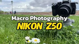 Nikon Z50: Macro Photography Tutorial