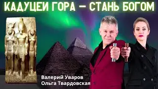 Валерий Уваров о Кадуцеях Гора. Польза для здоровья.