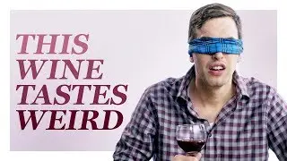 Wine Experts Taste Dogshit Wine