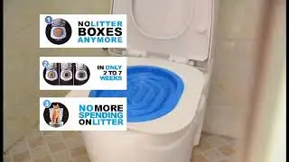 Toilet Training Kit Ad | Client Project