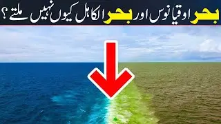 Why the Atlantic and Pacific Oceans Don't Mix in Hindi/Urdu | Maja al Bahrain | Do Samundar