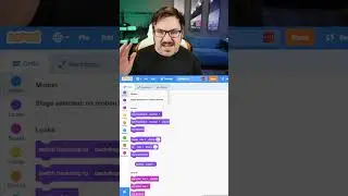 Scratch Coding Boot Camp:  why can't I see the movement coding blocks?