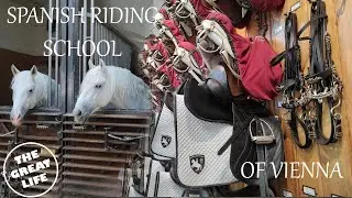 SPANISH RIDING SCHOOL OF VIENNA | MEET THE WHITE LIPIZZANER STALLIONS | VAN LIFE EUROPE E10