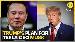 Donald Trump offers Elon Musk job to head goverment efficiency commission | WION