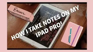 How I Take Notes on My iPad Pro Using the Notability App! | Corie Mac 💋