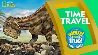 Time Travel | Weird But True!—Fast Facts