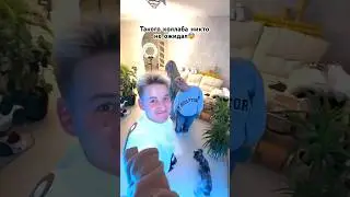 НА НОЧЁВКЕ С НАСТЕЙ КОШ?😨 