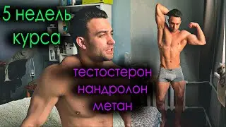 5 недель курса. Сушка с метаном и декой)