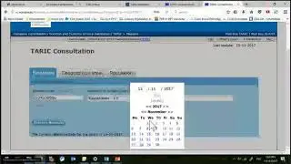 Экспорт в ЕС (Транспортная логистика и таможенное оформление)