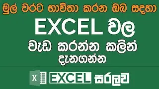 Things You Should Know Before Working in Excel | Excel Sinhala Tutorials