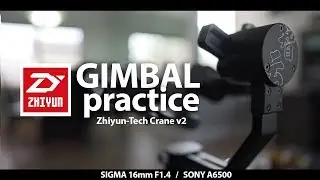 GIMBAL PRACTICE | SONY a6500 + ZHIYUN CRANE V2 VLOG