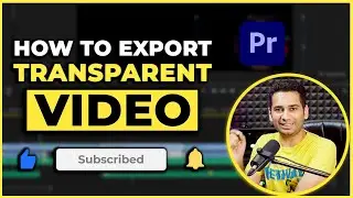 How To Export Transparent Video in Premiere Pro