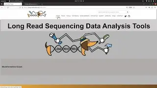 Bioinformatics Tools for Long Read Sequencing Data Analysis