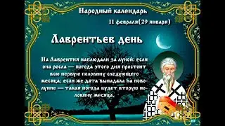 #11февраля