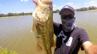 Big Bass on Big Worms