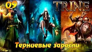 Trine #09 - Терниевые заросли