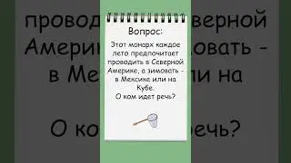 Загадка о необычным монархе, который любит путешествовать