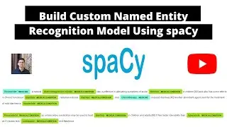 Learn How to Build a Custom Named Entity Recognition (NER) model using spacy. 