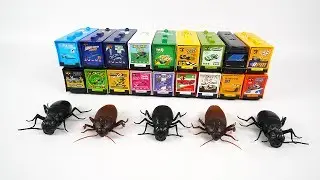 Kids Toys Cockroach Ant Spider Dinosaur | Toys Review | TORINO KIDS