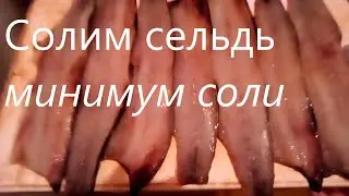 Солим селедку минимум соли