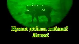 Из отечественного карабина по кабану с вышки. Ночной прицел 1ПН58. Вепрь ВПО-129 7,62×54R пули БПЗ