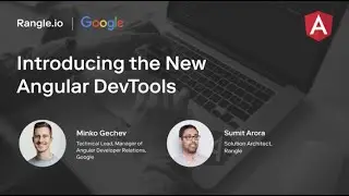 Introducing the new Angular DevTools