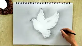 How to Draw a Flying Bird 🕊