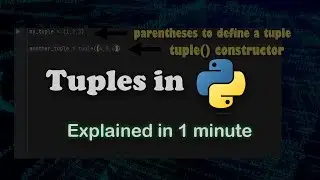 Python Tuples Explained In 1 Minute