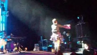 CRANBERRIES ANALYSE LYON (5th TRIP)