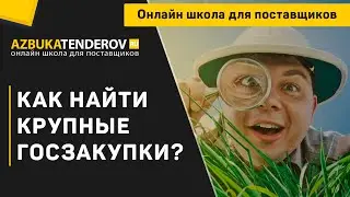 Как найти крупные и выгодные госзакупки?