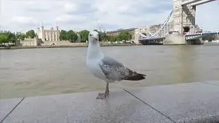 London, United Kingdom 2018