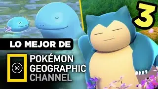 Lo MEJOR de Pokémon Geographic Channel  * PARTE 3