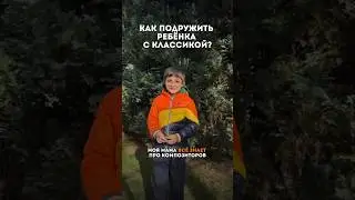 Как подружить ребёнка с классикой?