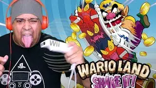 11 YEARS LATER THIS GAME LOOKS BETTER THAN MARIO MAKER! [WARIO LAND: SHAKE IT]