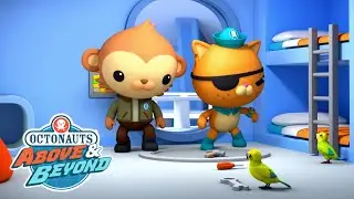 Octonauts: Above & Beyond - The Octoray is Invaded! | Season 2 | @OctonautsandFriends​