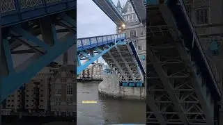 Closeup Watch Tower Bridge in Action: Opening and Closing!