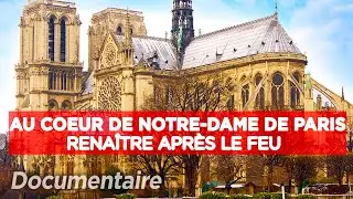 Au coeur de la cathédrale de Notre Dame de Paris : Renaître après le feu - Documentaire complet