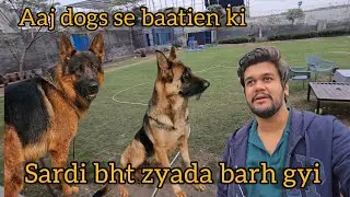 Apne Dogs se batien | Sardi ek dam se barh gyi | daily vlog 224