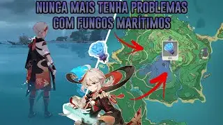 Rota de Fungos Marítimos - Genshin Impact