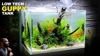 THE GUPPY TANK: LOW TECH, LOW BUDGET, AQUASCAPE TUTORIAL