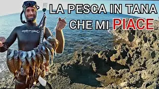 Pescasub: LA PESCA IN TANA CHE MI PIACE - Spearfishing