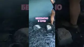 СЕРОВОДОРОДНЫЙ ИСТОЧНИК 