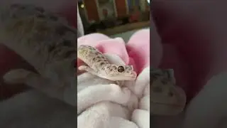 Что с ним?! 