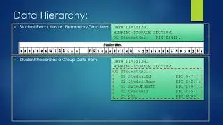 Group data item (Data Hierarchy) in COBOL