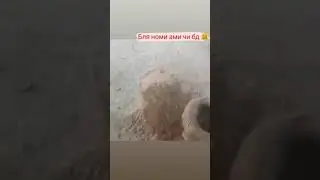 да коммент нависен ку