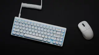 Thocky 65% Keyboard on a BUDGET | Nuphy Halo65