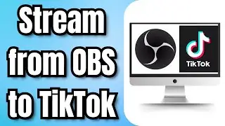 How to Stream from OBS to TikTok