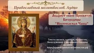 Акафист иконе Божией Матери "Неупиваемая Чаша"