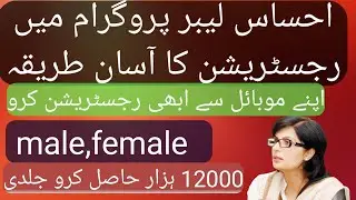 ehsaas programme registration online|ehsaas programme registration nadra|ehsaas programme new update